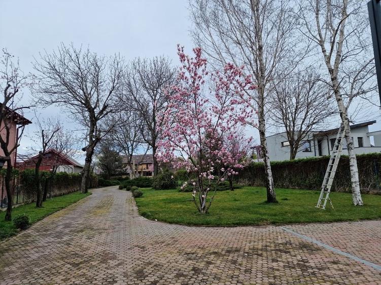 Buftea teren 700 mp SUPERB cu AConstruire P+1E - 3