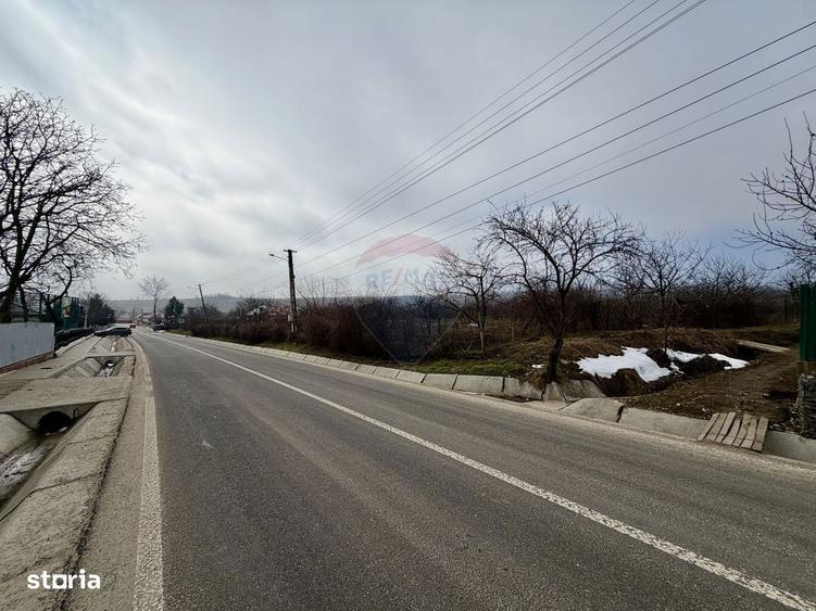 Casa cu 4 camere si teren 7727 mp Blidari - 16