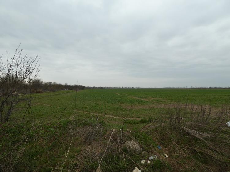 Teren 10.000 mp Butimanu in spatele caselor - 4