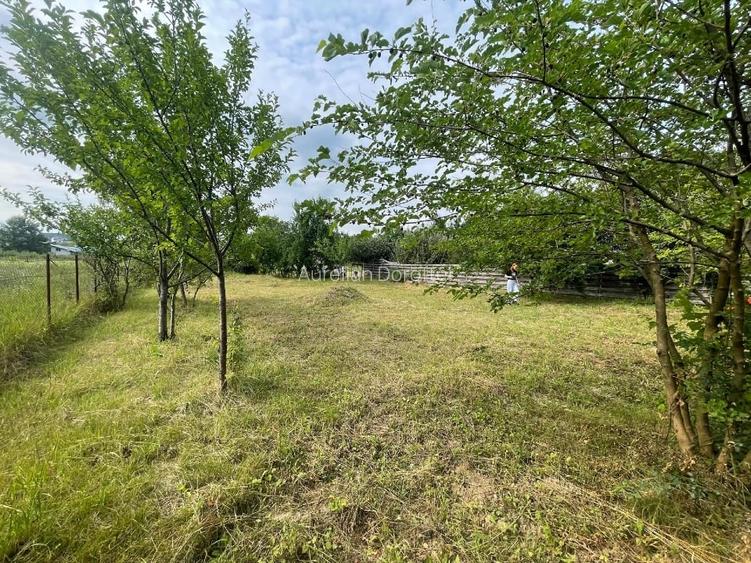 Teren intravilan 556mp Bârnova - pret negociabi