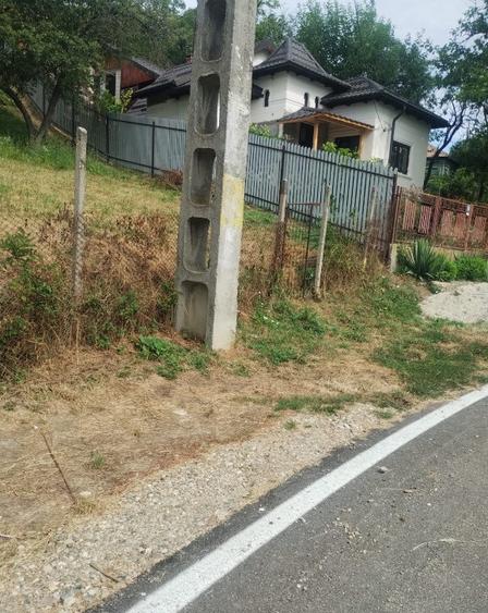 Terenuri in ora?ul ?tefane?ti, jude? Arge?, 3113mp - 3