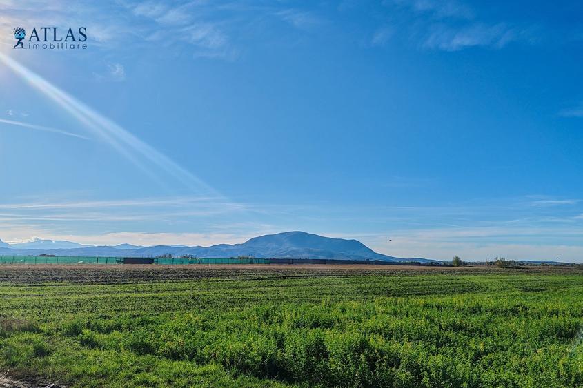 Teren ideal dezvoltare rezidențială, 8.121 mp, PUZ aprobat, utilități, Stupini - 1