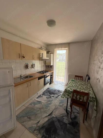 Apartament 1 camera decomandat Porii - 8