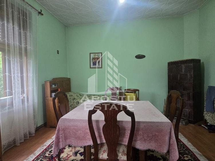 Proprietate cu potential turistic in Gurahont - 5