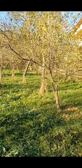 Super oferta valabila doar luna aceasta.Teren de vanzare Calimanesti - 4