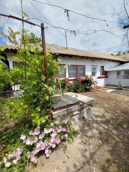 Casă batraneasca 35km de București 45,000 euro negociabil  - 9