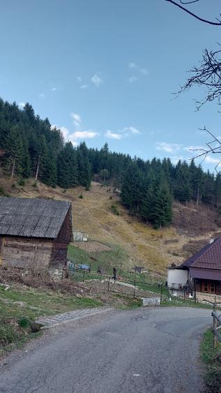 Teren intravilan de vânzare  - 11