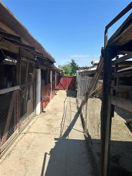 RECO Casa 3 Camere Cu Teren Generos In Felcheriu - 11