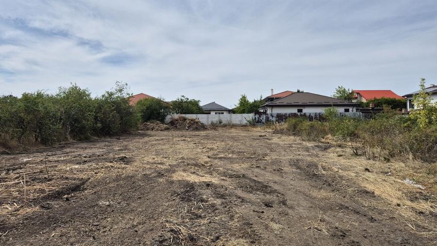 Teren intravilan 1000 mp - Domnesti - 1