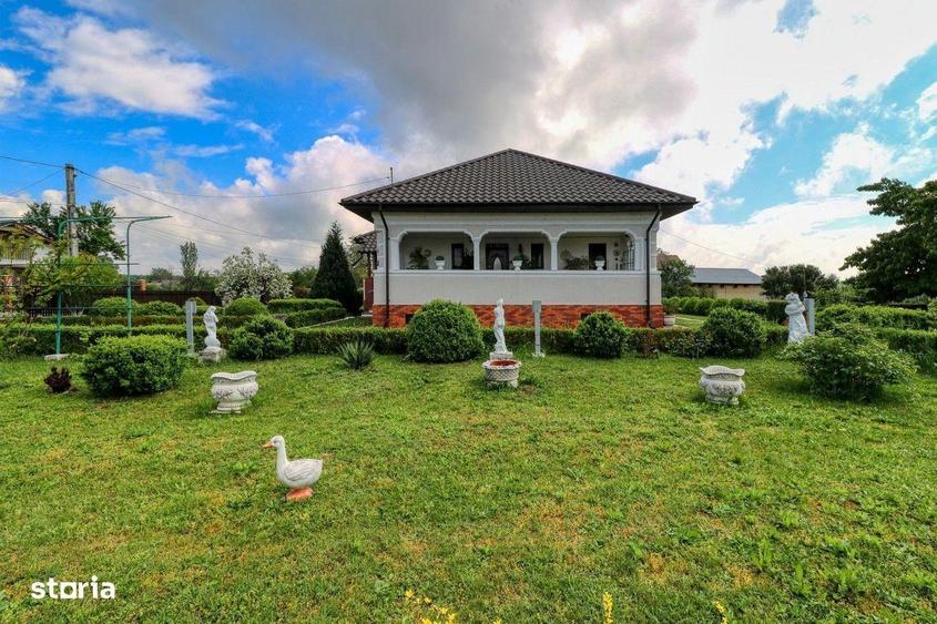 Oportunitate - Casa boiereasca de poveste- 7000 mp teren - 9