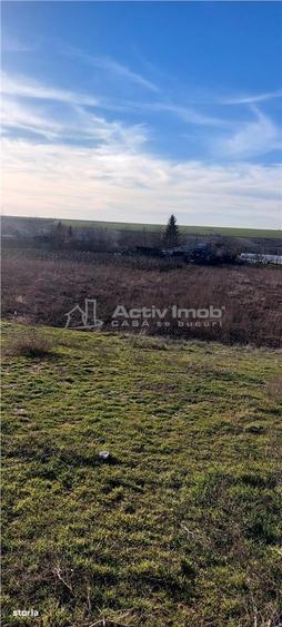 Teren TOP 1400mp 18ml stradal Vanatori (Odaia Manolache) - 2