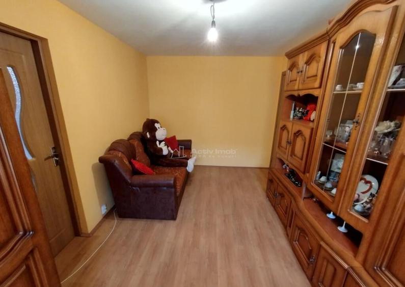 Oravita, 2 Cam, Parter, Conf.1, Mobilat Utilat, Pret Negocia - 10