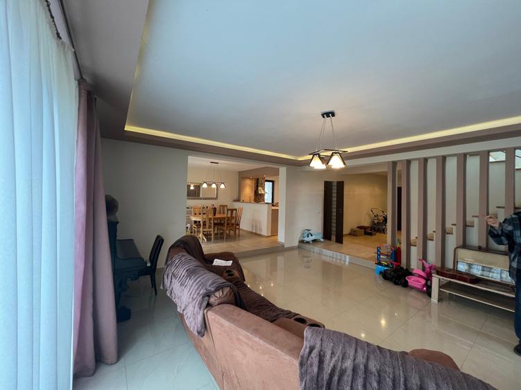 Dimitrie Leonida Metrou - 27