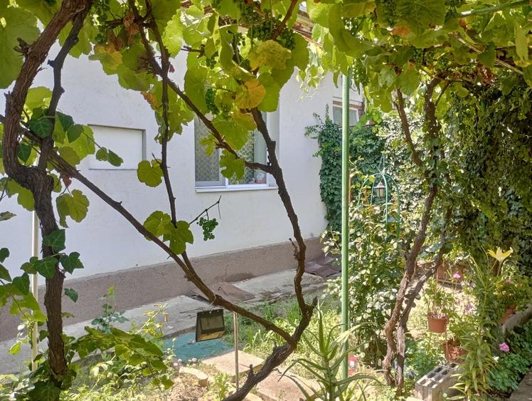 Apartament 4 camere curte comuna Iosefin - 4