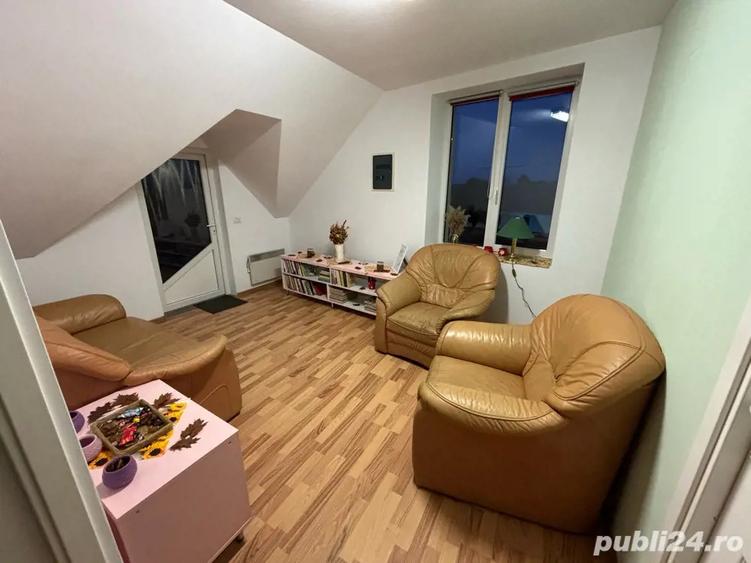 spatii de inchiriat - 4