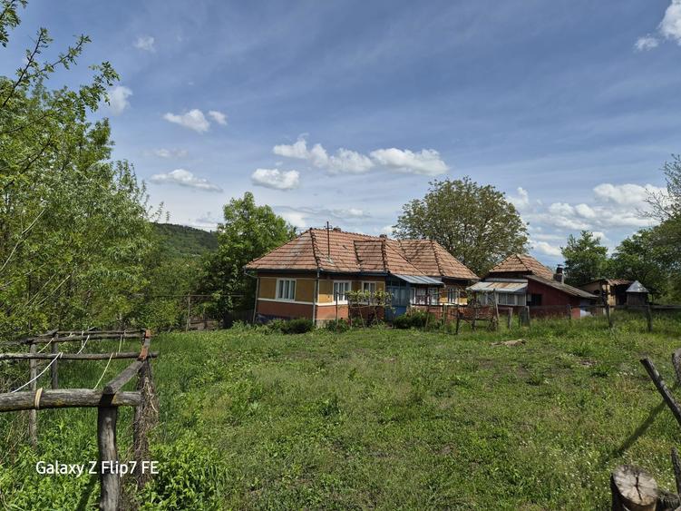 Casa de vanzare in com Bala - 7