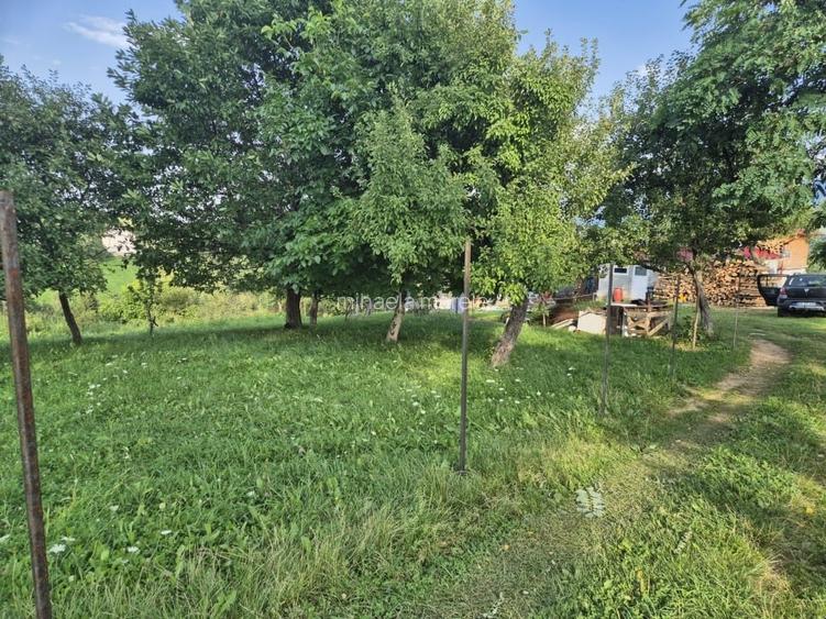 2000 mp, teren intravilan Pestera, Brasov, comision 0% 2000 mp, teren intravilan Pestera, Brasov, comision 0%