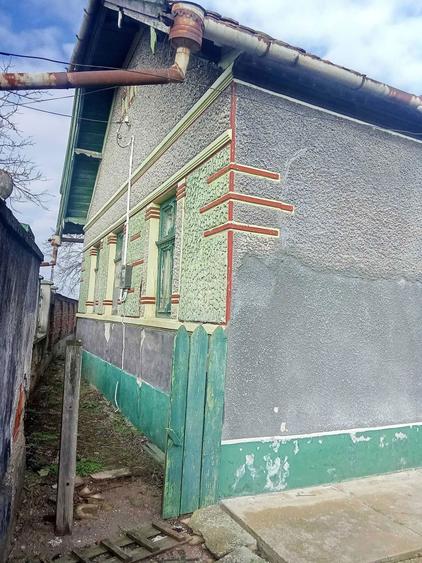 Vand gospodarie traditionala in Socodor - 6