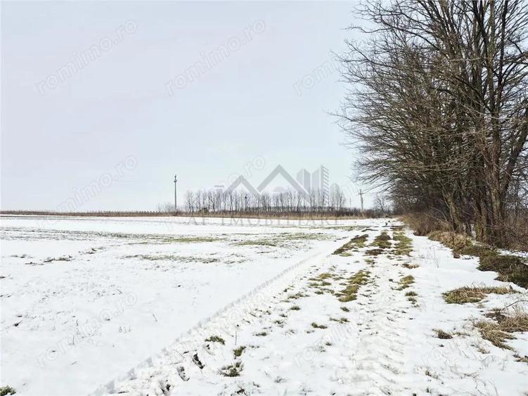 Teren intravilan de vanzare la 11 km de Palatul Culturii Iasi - 1