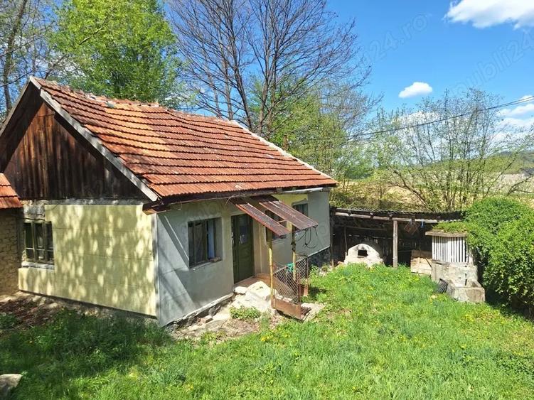 Vand casa Cornitel - 1