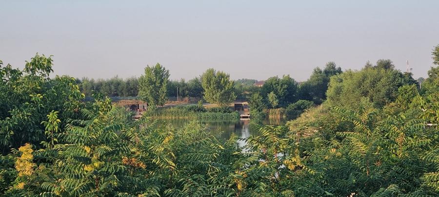 Descriere teren de vânzare – Clinceni, lângă Lacul Nicmar - 10