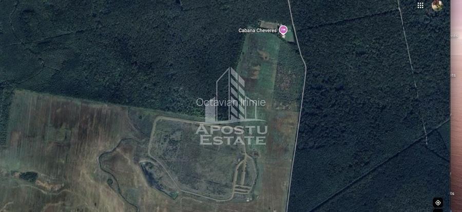 Teren 27000 mp, ideal centru seniori,liziera padurii, Cheveresul Mare.