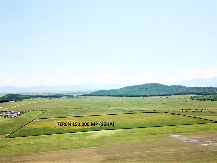 Teren Bod - ideal dezvoltare cartier rezidential - 9