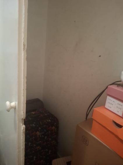 Dristor-Camil Ressu stradal - 7