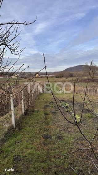 Casa de vanzare cu curte spatioasa loc relaxare si gradina Cornatel - 2