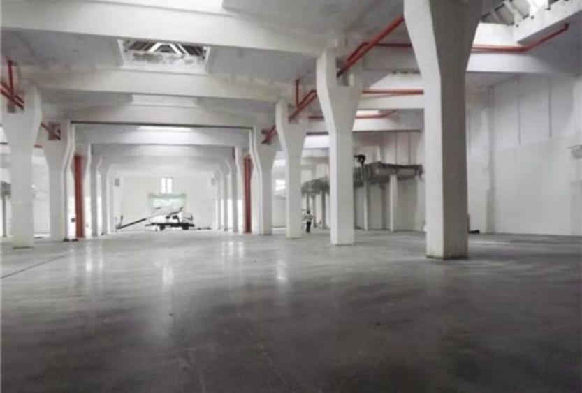 Hala service auto de inchiriat Jilava - Șoseaua Giurgiului - 3