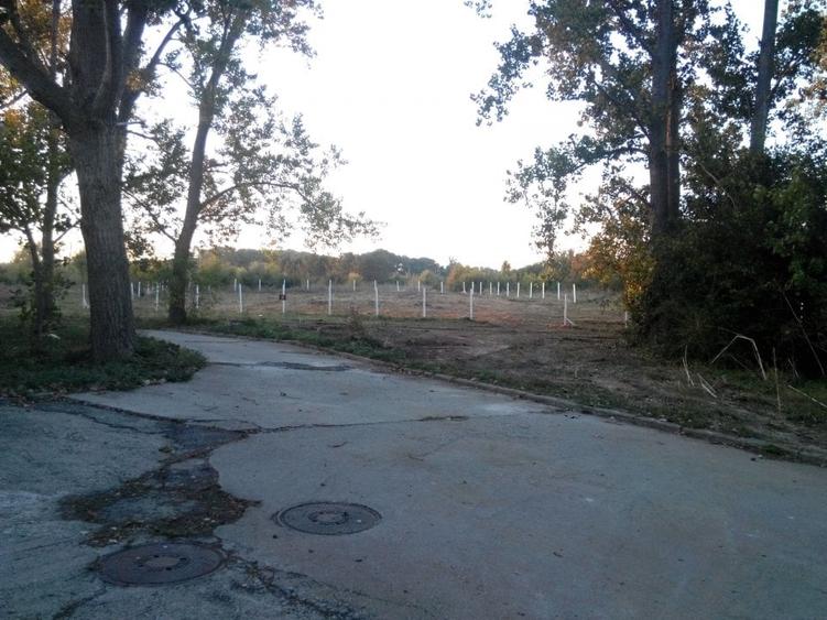 OPORTUNITATE - TEREN CAP AURORA - 2800 MP, FOARTE APROAPE DE MARE - 2