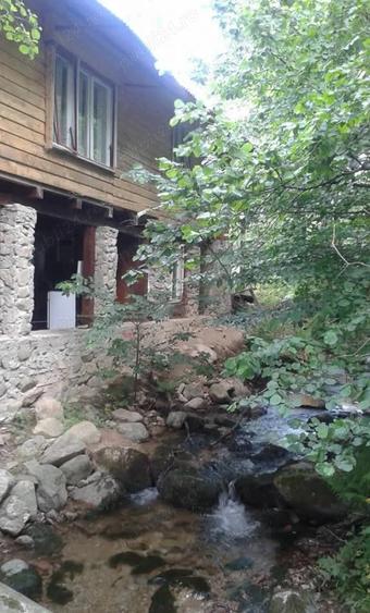 Teren de 80000 mp, în Susani