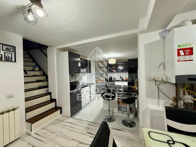 Doua apartamente la curte comuna separata, zona Timoclului, Timisoata - 2