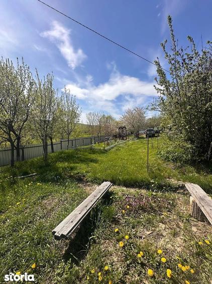 De vanzare casa ?i teren cu suprafata de 13.000mp, 52.000 euro - 9
