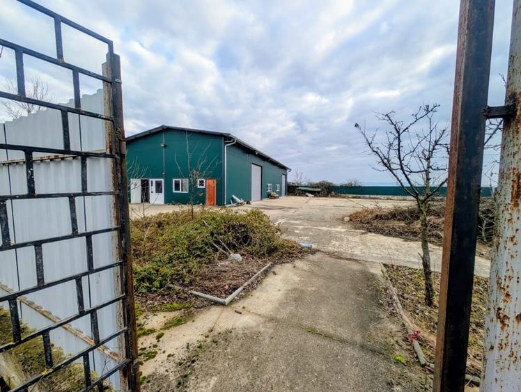 Hala de 250 mp cu un avantaj major la Hodis - 8