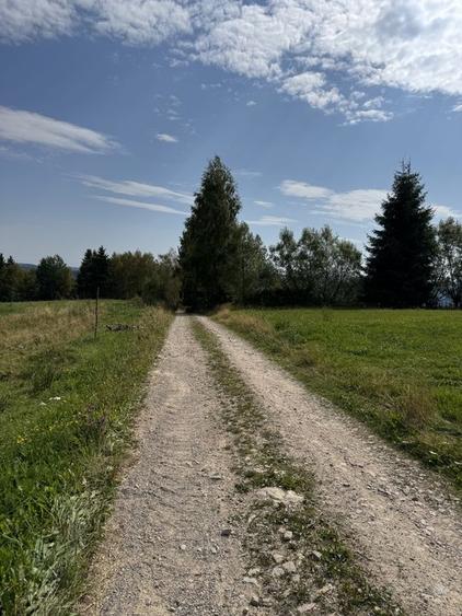 Teren de vanzare Rasca - 3