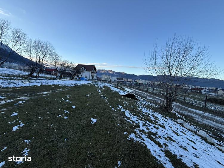 Teren intravilan 667 mp in Zarnesti zona Grui pentru casa - 9