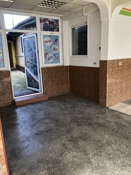 Casă cu 9 camere cu Teren 313 Mp în Pantelimon