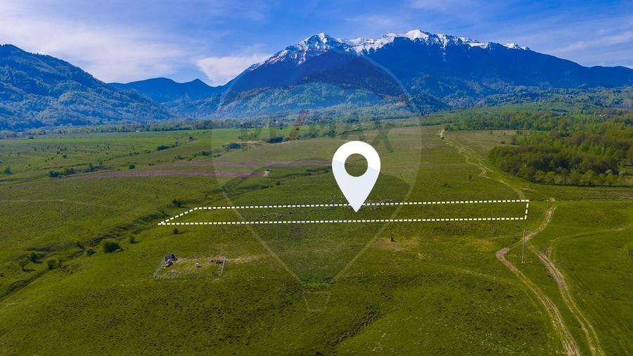 Teren 1ha, extravilan Rasnov / Agricultură sau fermă/ COMISION 0% - 1