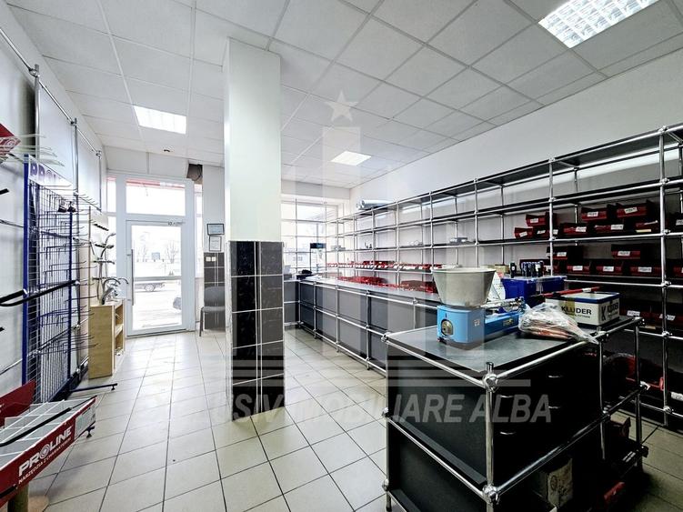Spațiu comercial, de 110 mp, în Cetate