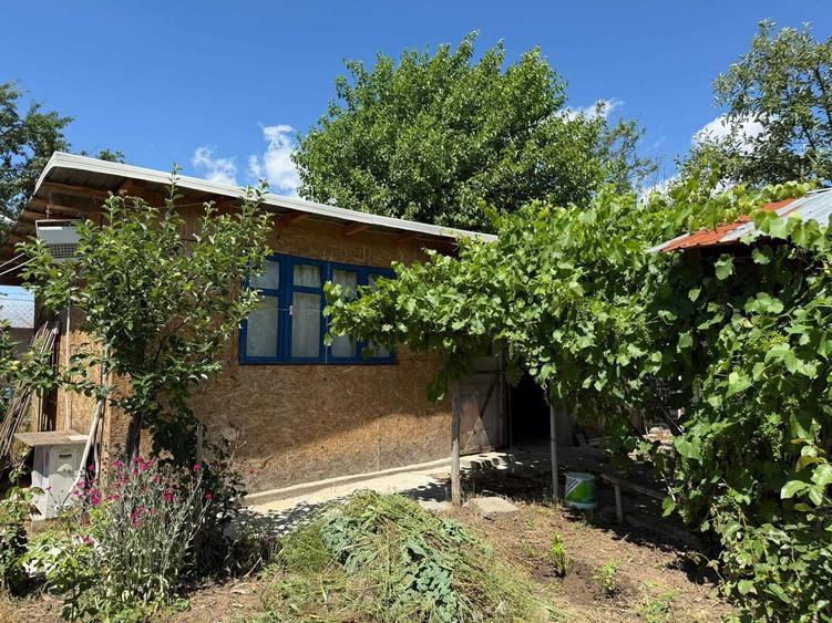 Casa la tara de vanzare in Tarnava, Teleorman locuibila, teren, foisor, hidrofor, 1500mp - 2