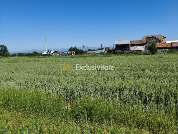 Teren agricol intravilan de 10294 mp, în Sud