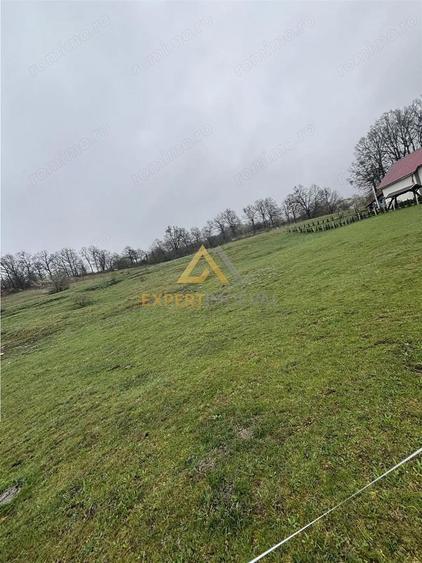 Teren intravilan de vanzare - 1
