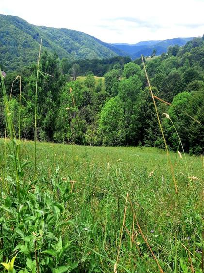 Izbucul Cernei,Gorj - 5