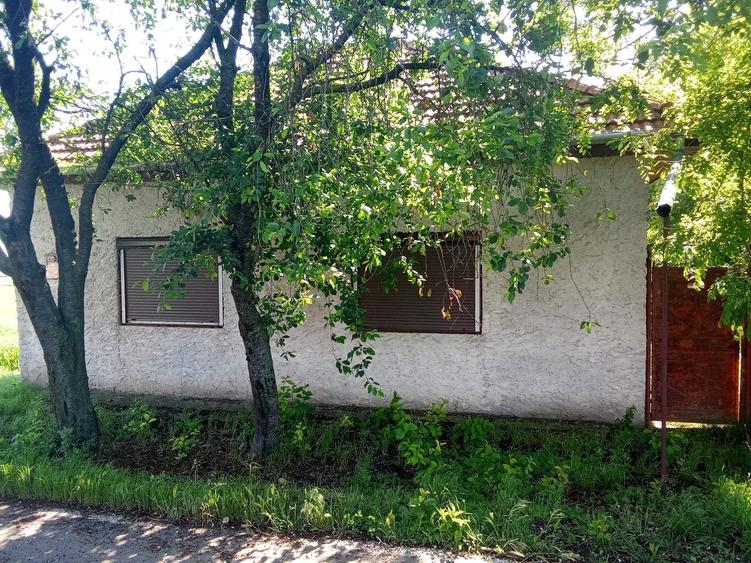 Casa de vanzare Peregu Mare - 1