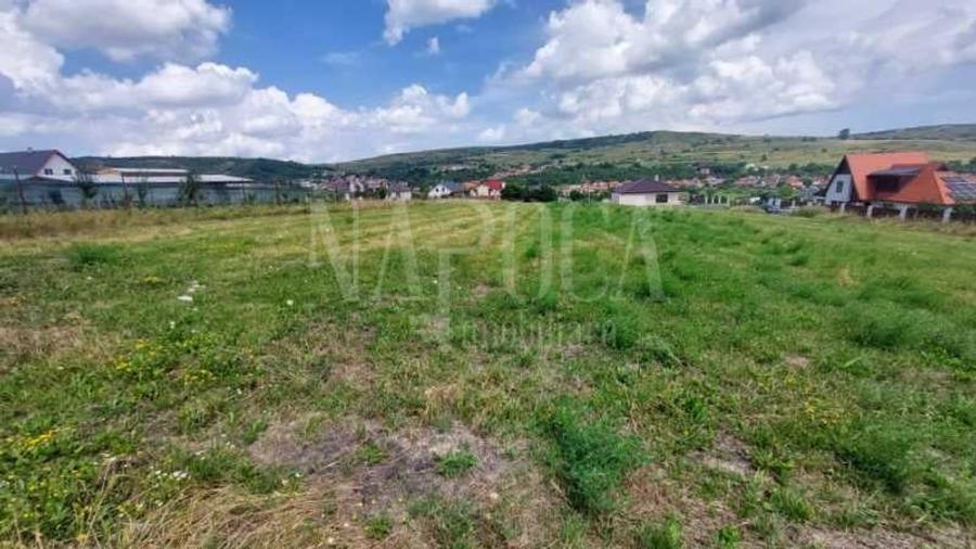 Teren intravilan pentru constructii de vanzare in Chinteni - 4