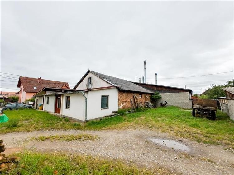 FILM! Oportunitate industriala, hala in localitatea Ghelinta, Covasna - 13