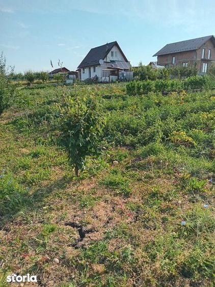 Vand casa cu teren in zona Sesul Sibiului aproape de Hornbach - 4