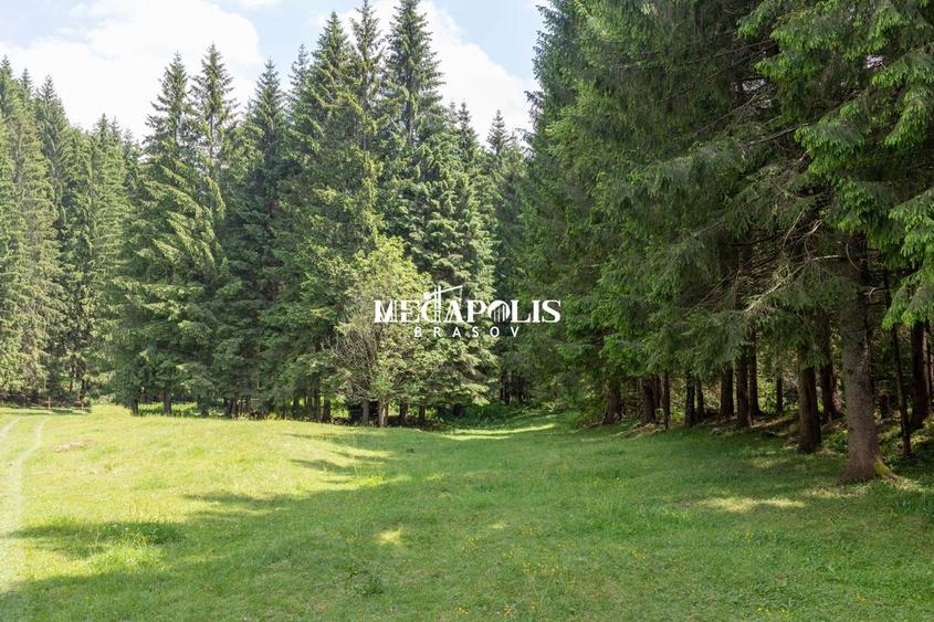 Pretabil Hotel,Pensiune,Case de Vacanta/Utilitati/PUZ - 19