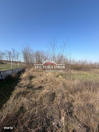 NECTORA IMOB-Teren Intravilan Lac Paleu, 886 mp, Front 27 ml,Utilitati - 8